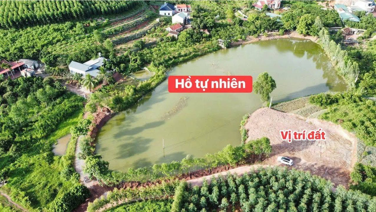Đất Farm Bảo Sơn Lục Nam 500m² giá 1 tỷ - Khu nghỉ dưỡng lý tưởng!