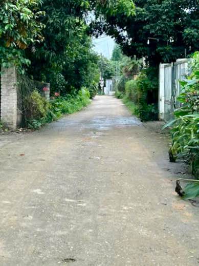 Đất nền Kim Phú Tuyên Quang 135m² giá 800 triệu - Ngõ ô tô thoải mái vào!