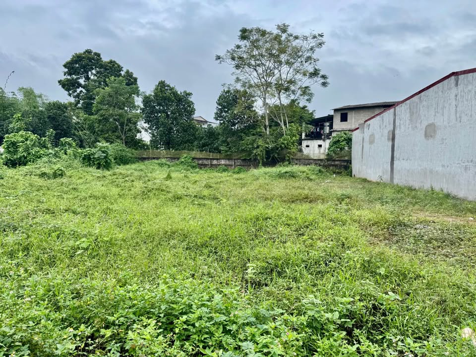 Đất thổ cư Kim Phú 200m² giá 1 tỷ - Gần chợ và cây xăng