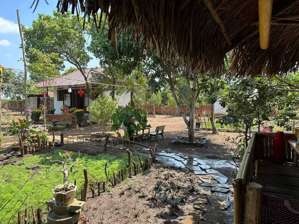 Farm Dầu Giây 4000m² giá 6 tỷ - Hướng sân bay Long Thành