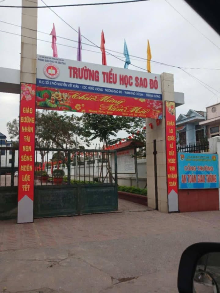 Đất ở 100% tại Sao Đỏ, Chí Linh 99,7m² giá 1,15 tỷ - Cơ hội đầu tư hấp dẫn!