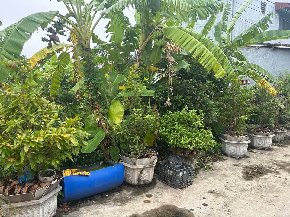 Đất nền Đồng Lạc Nam Sách 88m² giá 700 triệu - Cơ hội đầu tư tuyệt vời!