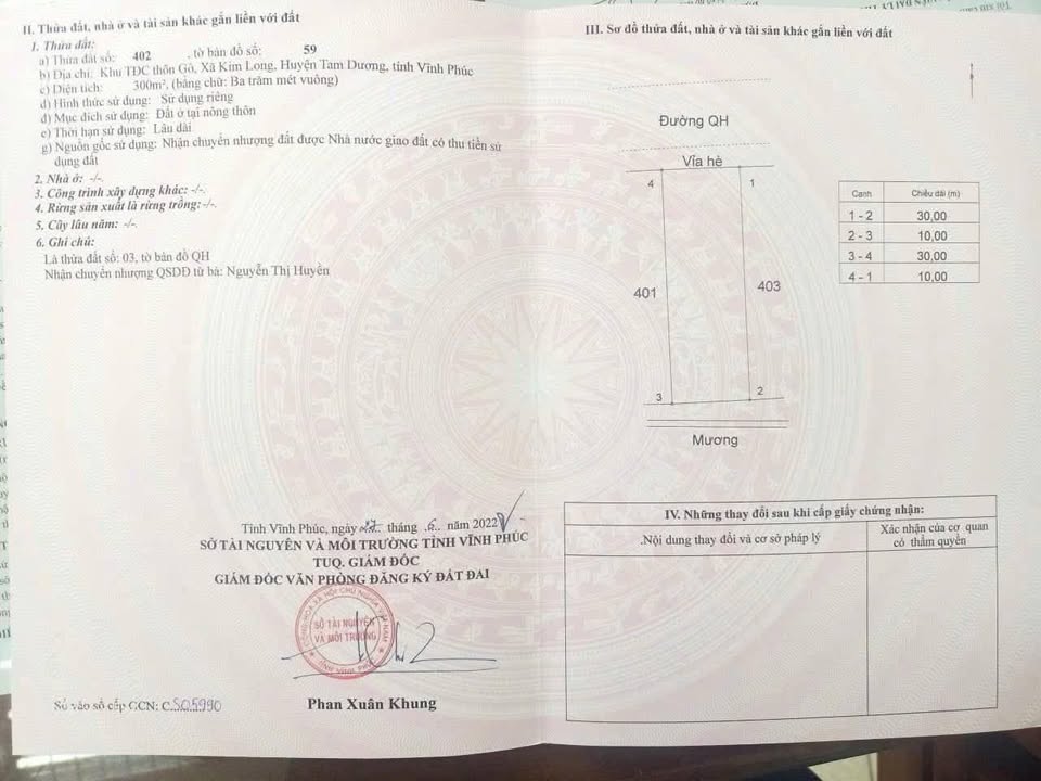 Đất chính chủ 300m² mặt tiền 10m tại Tam Dương - Giá chỉ 17 triệu/m²