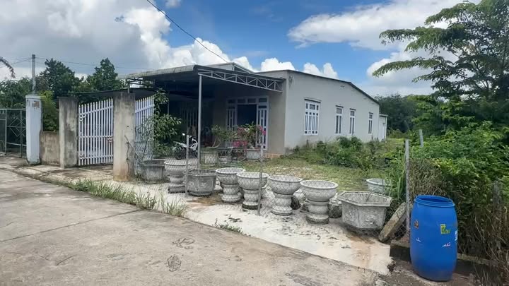 Nhà cấp 4 khu phố 4, phường Minh Hưng, 300m² giá 1.2 tỷ - Chính chủ bán gấp!