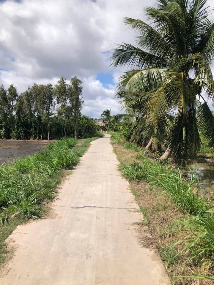 Đất nông nghiệp 5.200m² tại Ấp Kinh A, Trà Vinh - Giá chỉ 1.155 tỷ VND