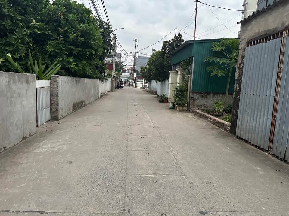 Đất nền Quang Minh, Mê Linh 98m² giá chỉ 5.684 tỷ - Đầu tư sinh lời cao!