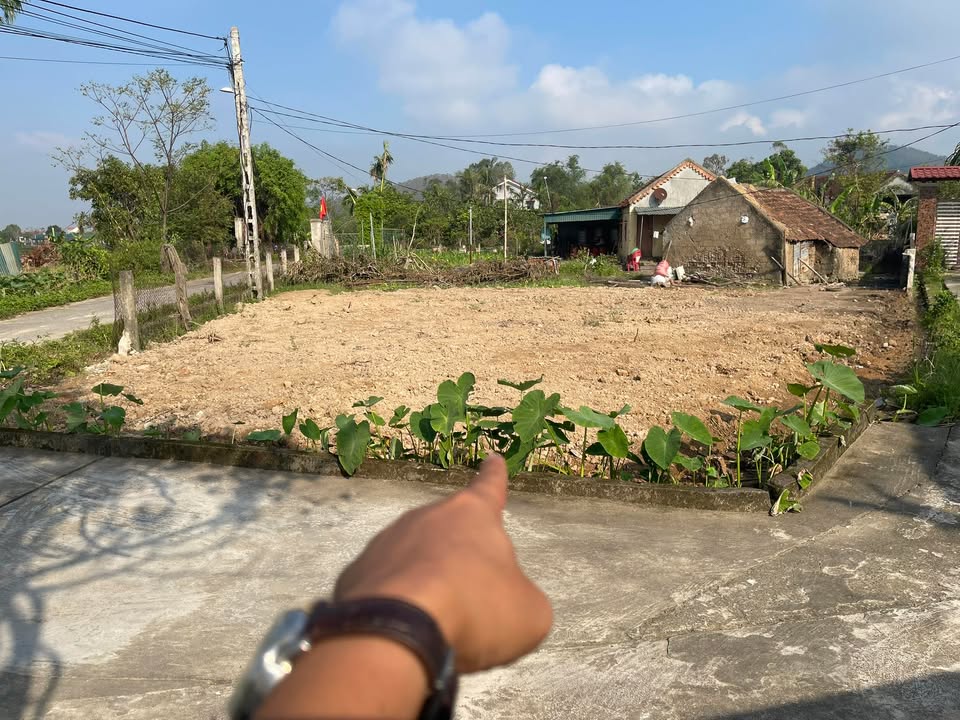 Đất nền xóm 5 Nam Lĩnh 230m² giá 1 tỷ - Vị trí đắc địa đầu tư sinh lời!