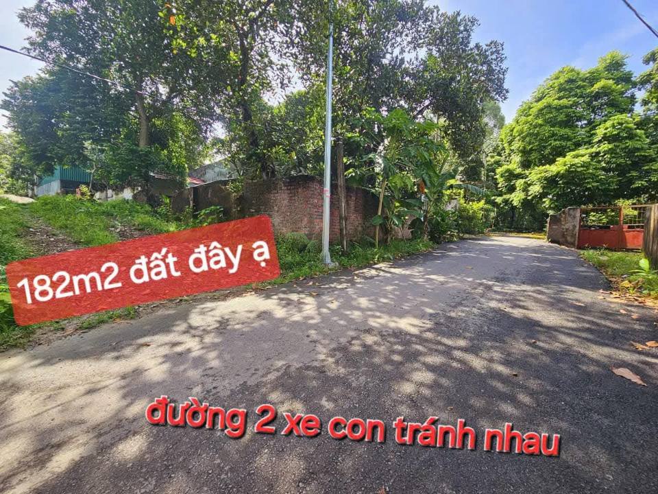 Đất nền Cổ Độ, Gia Khánh 182m² giá 1.3 tỷ - Đường thông tứ phía!