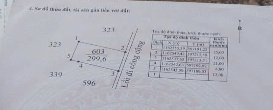 Đất thổ cư 299m² tại Tân Lân, Cần Đước, Long An - Chỉ 1.35 tỷ