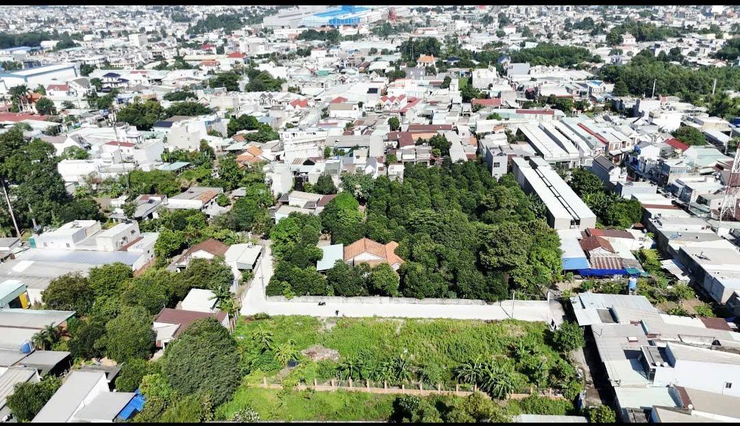 Đất nền Tân Đông Hiệp, Dĩ An 92.4m² giá 2.7 tỷ - Xây dựng tự do ngay!