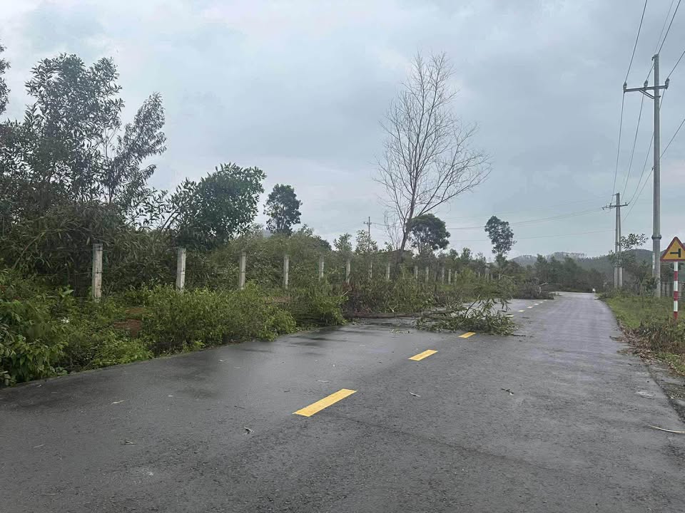 Đất thổ cư Canh Hiệp, Vân Canh 322m² - Giá tốt, sẵn sàng giao dịch!