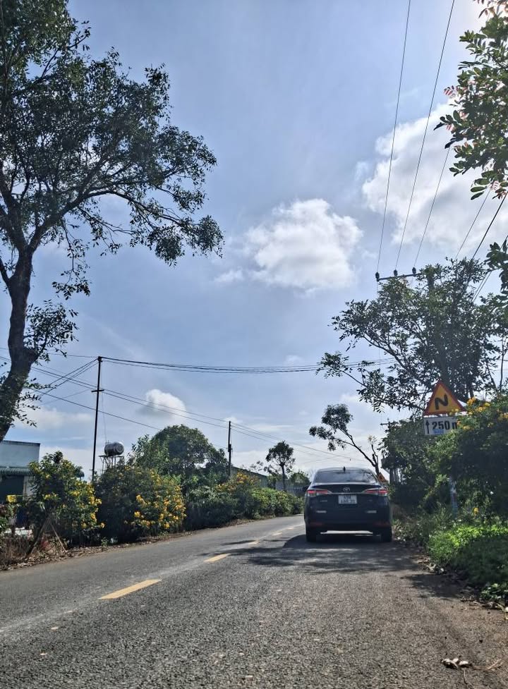 Đất nền mặt tiền nhựa Tân Thành, Tân Hội 220m² giá 2.2 tỷ - Cơ hội đầu tư sinh lời!