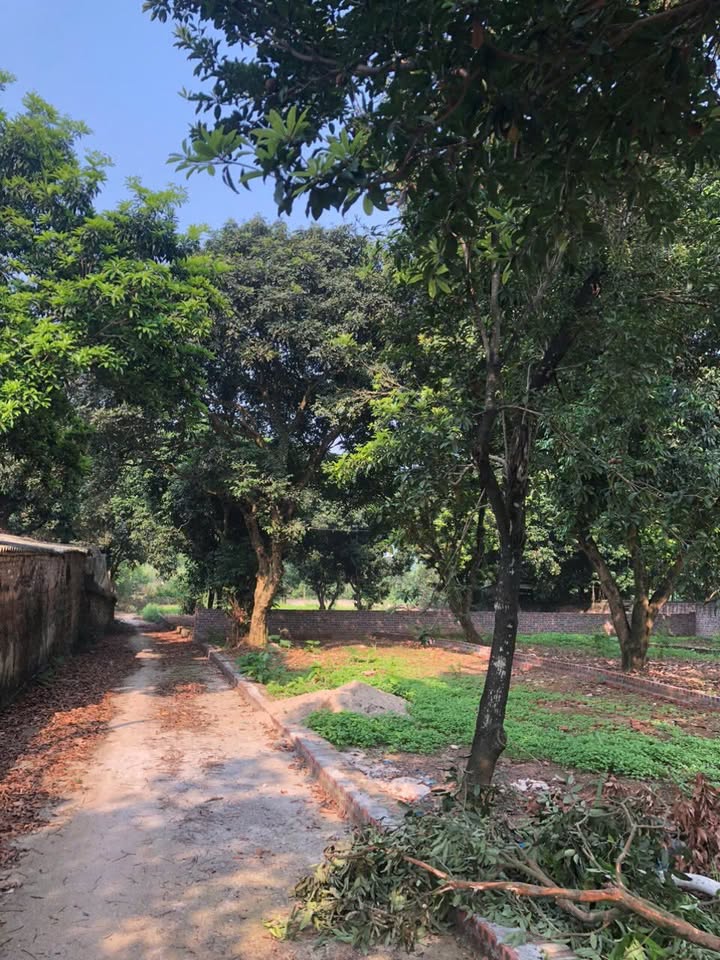 Đất nền góc đẹp Suối Hai, Cẩm Lĩnh, Ba Vì 1120m² - Cơ hội đầu tư hiếm có!