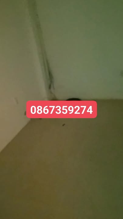 Cho thuê mặt bằng đường Phạm Văn Thuận Biên Hòa 120m² giá 40 triệu - Vị trí đắc địa cho kinh doanh!