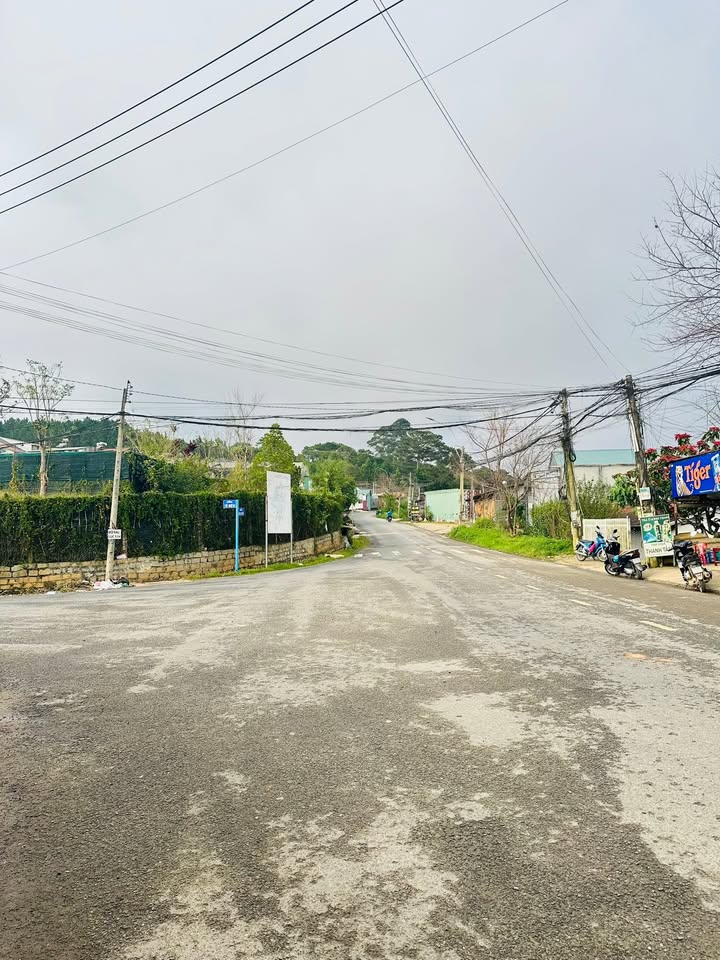 Đất mặt tiền đường Vạn Kiếp, Đà Lạt 315m² giá 8 tỷ - Cơ hội đầu tư tiềm năng!
