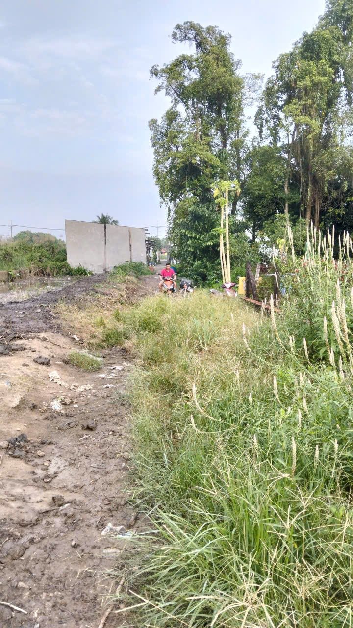 Đất nền Bình Mỹ Củ Chi 240m² giá 1.5 tỷ - Tiềm năng sinh lời cao!