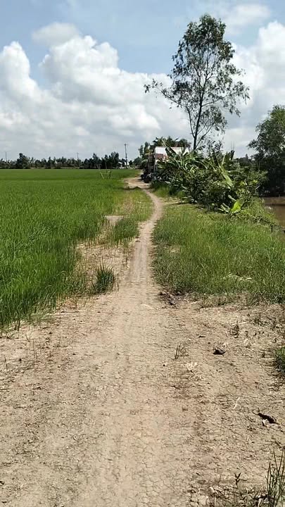 Đất nền 53 công tại xã Mỹ Hòa, huyện Tháp Mười - Giá 9.01 tỷ - Sổ hồng chính chủ!