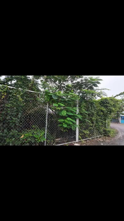 Đất nền Tân Hưng, Quận 7, 7596m² giá 730 tỷ - Vị trí đắc địa, tiềm năng cao!