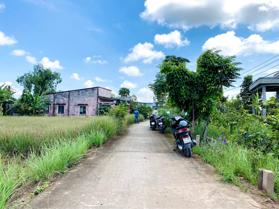 Đất nền liền kề 100m² xã Tân Phú Đông giá 190 triệu - Pháp lý rõ ràng, sổ riêng!