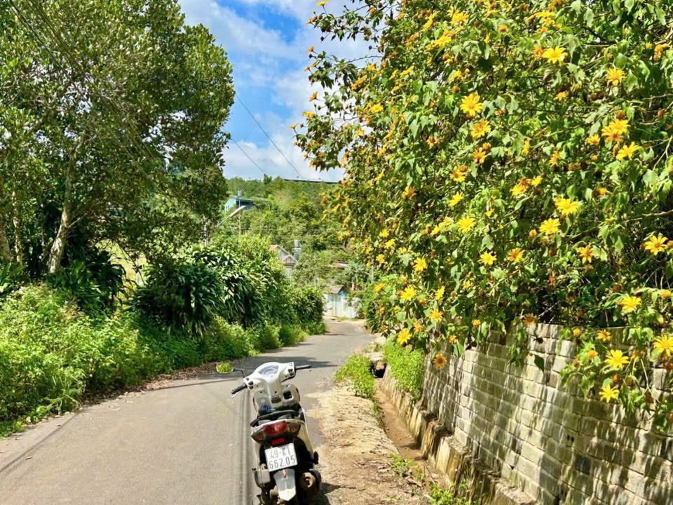 Đất nền Bảo Lộc 120m² giá 1.7 tỷ - Sổ đỏ chính chủ, khu dân cư sầm uất!