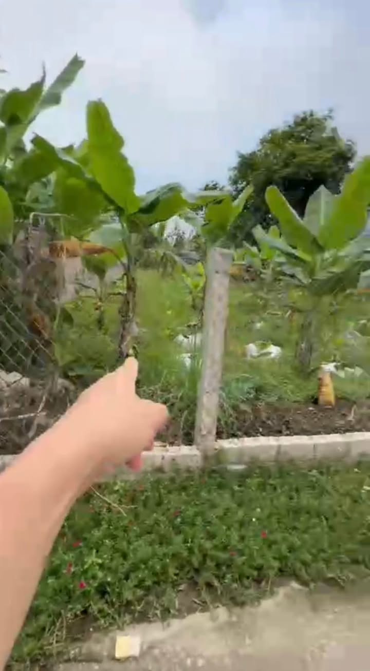 Đất thổ cư Vân Sơn, Triệu Sơn 154m² - Gần chợ, trường học, giá tốt!