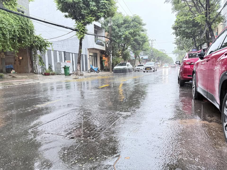 Đất nền Nguyễn Công Trứ, Sơn Trà, Đà Nẵng 113m² giá 16.5 tỷ - Cơ hội đầu tư lý tưởng!