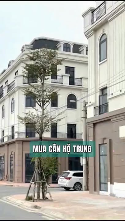 Nhà phố Sơn Đồng, Hoài Đức 79m² giá 14 tỷ - Kinh doanh sầm uất!