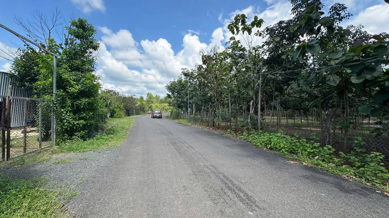 Đất nền 85m² mặt tiền nhựa ấp 1 xã Thanh Hòa giá 900 triệu - Cơ hội đầu tư hấp dẫn!