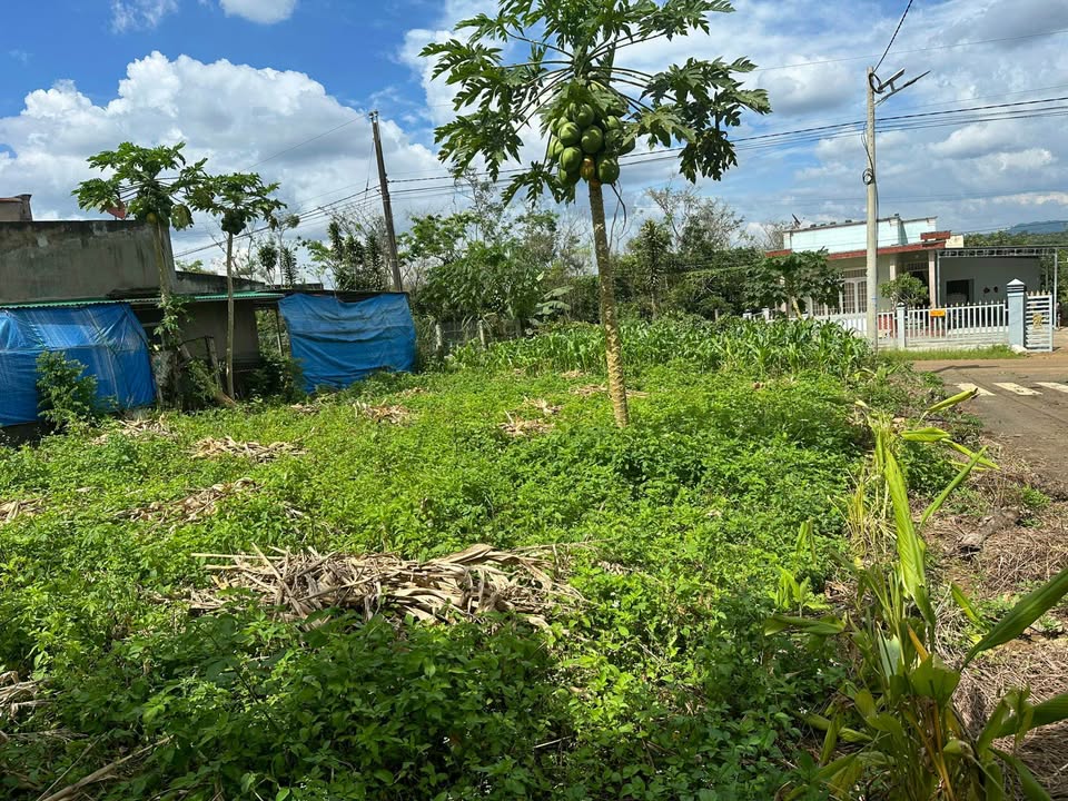 Đất nền lô góc 2 mặt tiền đường Liên Xã, Lộc An 168m² giá 1.2 tỷ - Đầu tư sinh lời ngay!