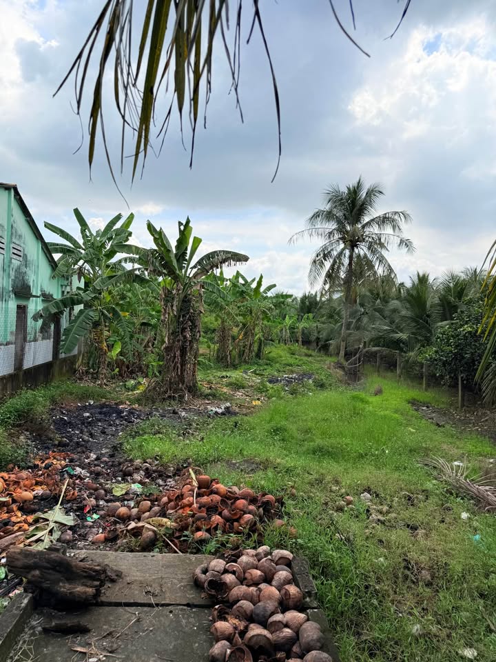 Đất mặt tiền HL 90E – Đạo Thạnh, Mỹ Tho 496m² giá 2.99 tỷ - Vị trí đẹp, đầu tư sinh lời!