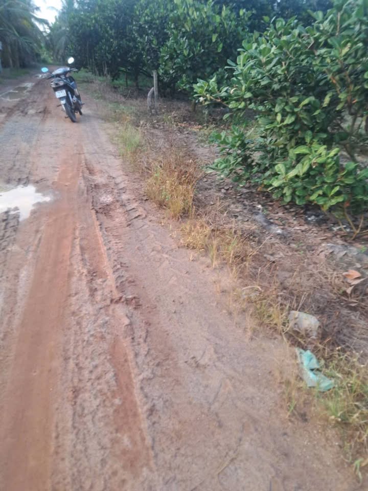 Đất mặt tiền Đường Đỏ Tân Châu 936m² giá 92.664 tỷ - Cơ hội đầu tư hấp dẫn!