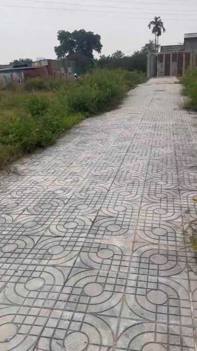 Đất nền Tái Định Cư La Tinh, Đông La, Hoài Đức 100m² - Đường rộng, vị trí đắc địa!