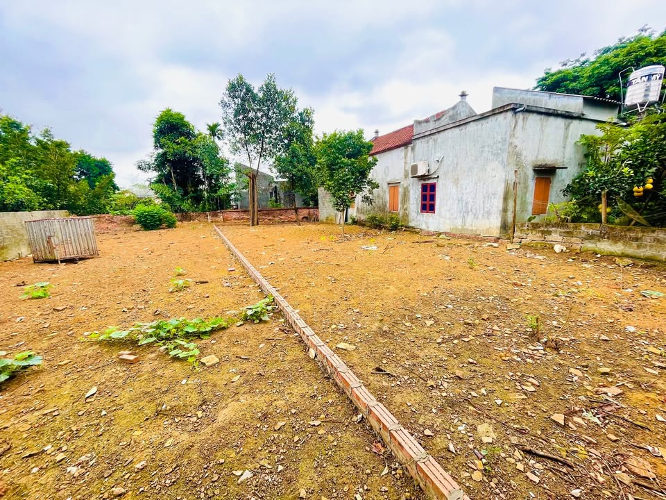 Đất thổ cư 164m² tại Yên Thái, Quốc Oai - Đầu tư sinh lời ngay!