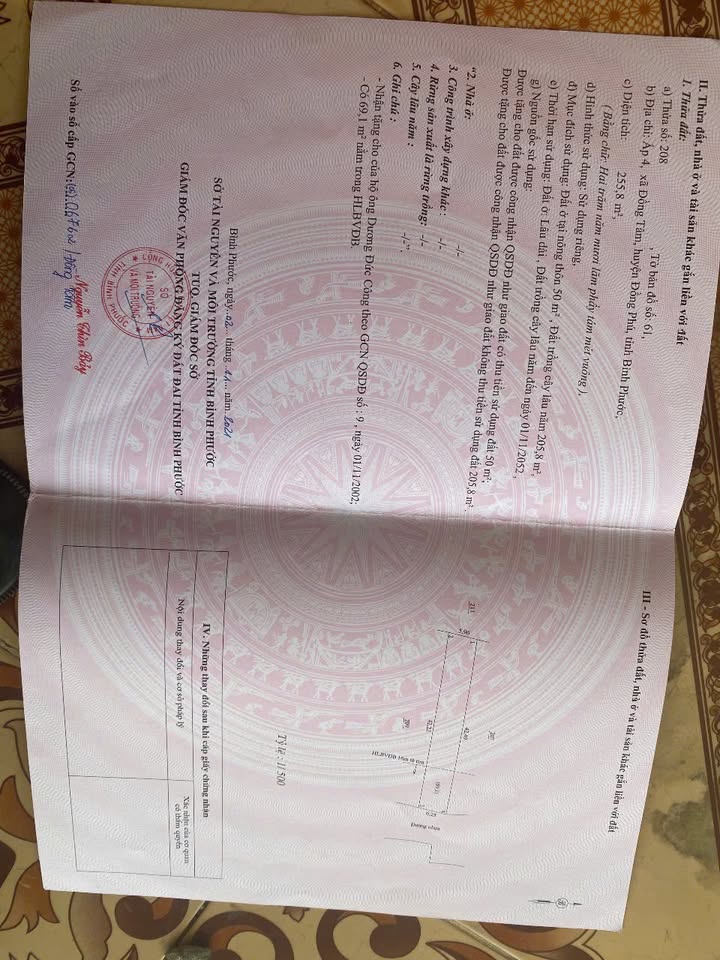 Nhà bán gấp tại Đồng Tâm, Đồng Phú, 252m² - Kinh doanh thuận lợi gần chợ