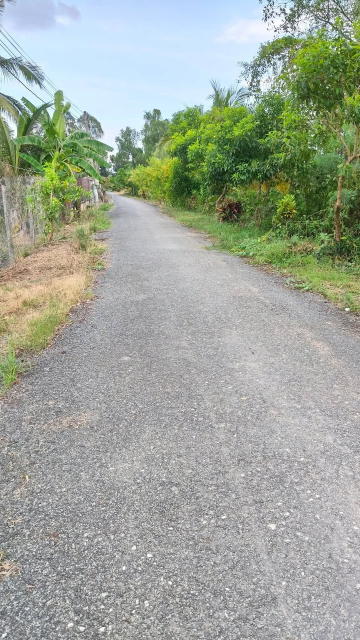 Đất nền mặt tiền đường Bằng Lăng, xã Mỹ Trung, 105m² chỉ 250 triệu - Cơ hội đầu tư tuyệt vời!