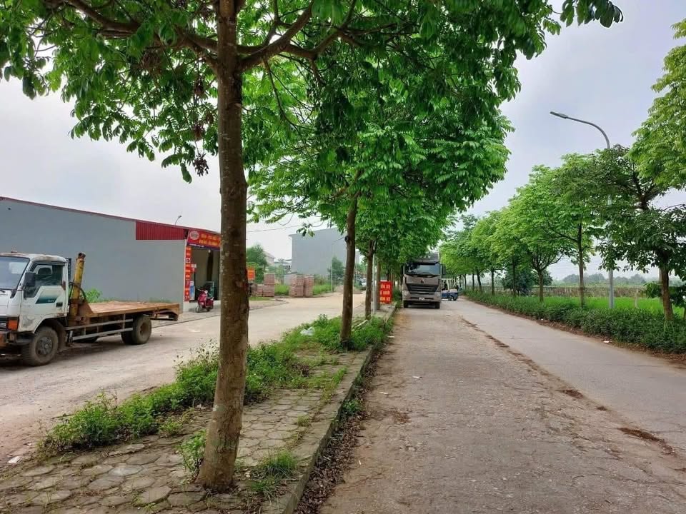 Đất đấu giá Đồng Phương Phúc Thọ 135m² giá chỉ 3x triệu - Sẵn sàng đầu tư!