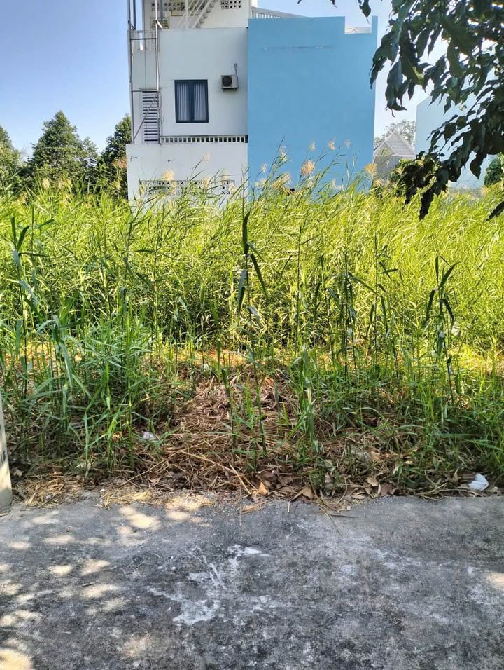 Đất nền đẹp tại Khu tái định cư Đặng Huỳnh, Tân Kim, 100m² - Đầu tư sinh lời ngay!