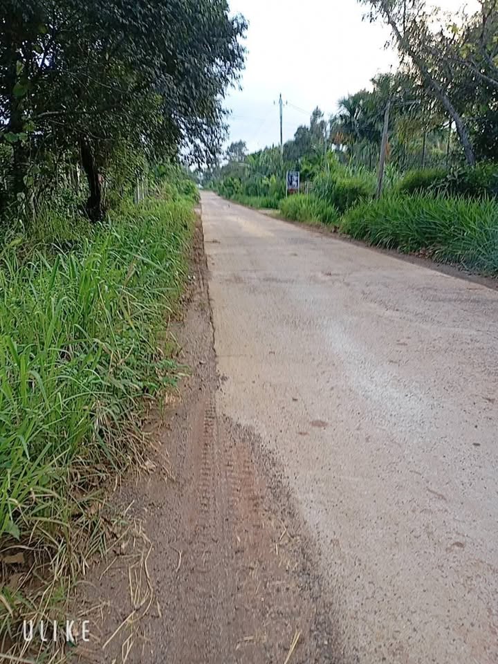 Nhà riêng thôn Đức Bình, Đắk Mil 300m² giá 1.4 tỷ - Sổ hồng chính chủ!