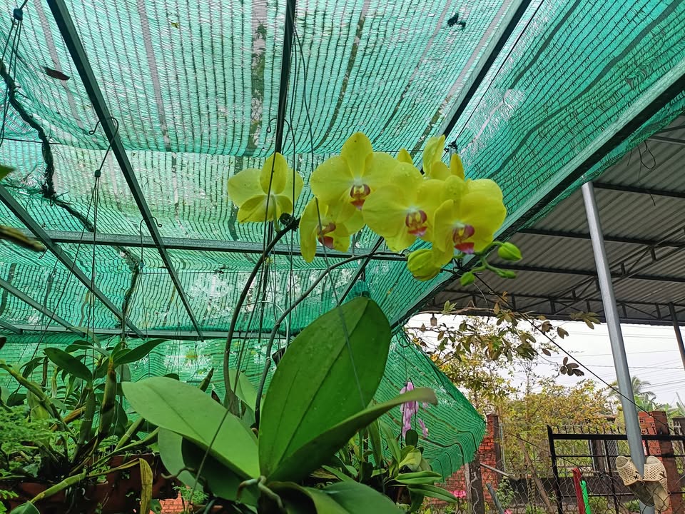 Đất nền 766 Nam Chính, Đức Linh, Bình Thuận 100m² - Mặt tiền kinh doanh lý tưởng!