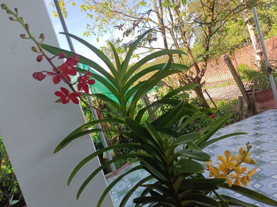 Bán đất thổ cư 300m² ĐT 766 Đức Hạnh - Cơ hội đầu tư hấp dẫn!