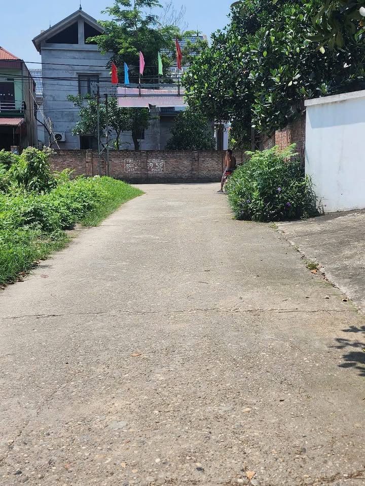 Đất nền Nam Cương, Hiền Ninh, Sóc Sơn 100m² - Mặt tiền siêu rộng gần 8m!