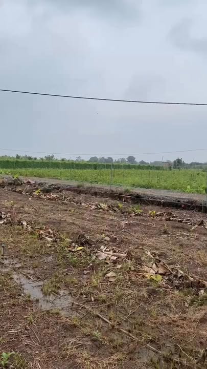 Đất nền Gia Tân 3, Thống Nhất, 1200m² giá 680 triệu - Đầu tư sinh lời dễ dàng!