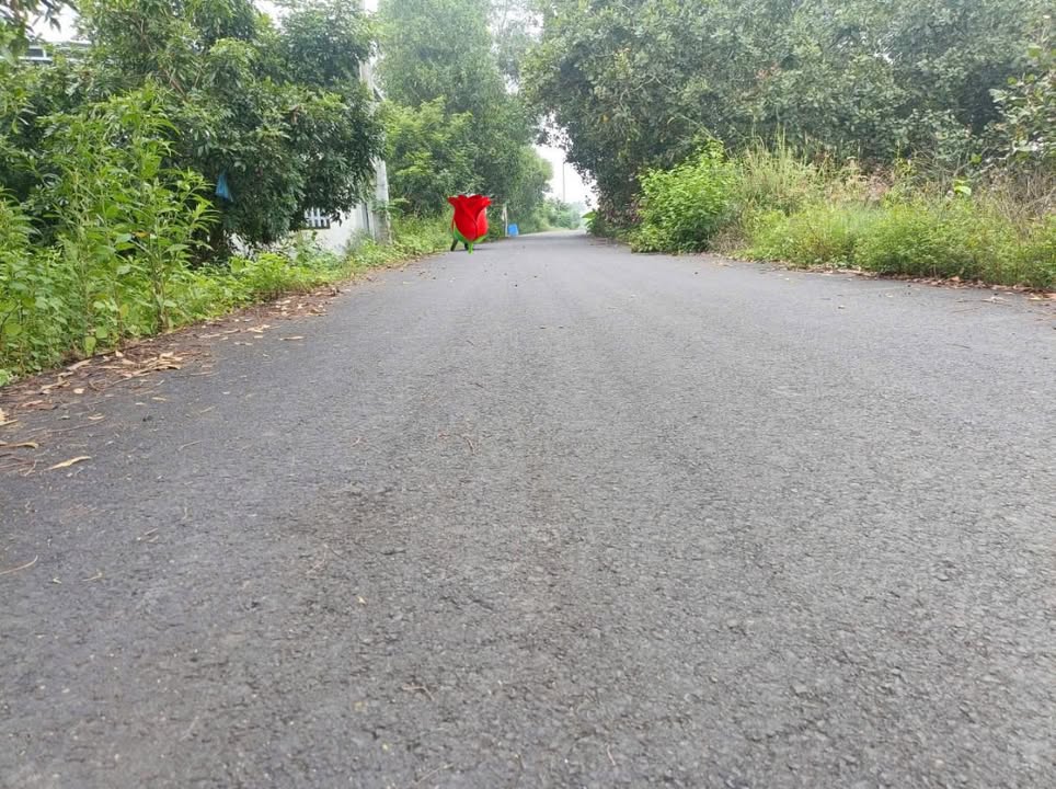 Đất nền xã Hòa Hội, Xuyên Mộc 300m² giá 1.3 tỷ - Cơ hội đầu tư tuyệt vời!