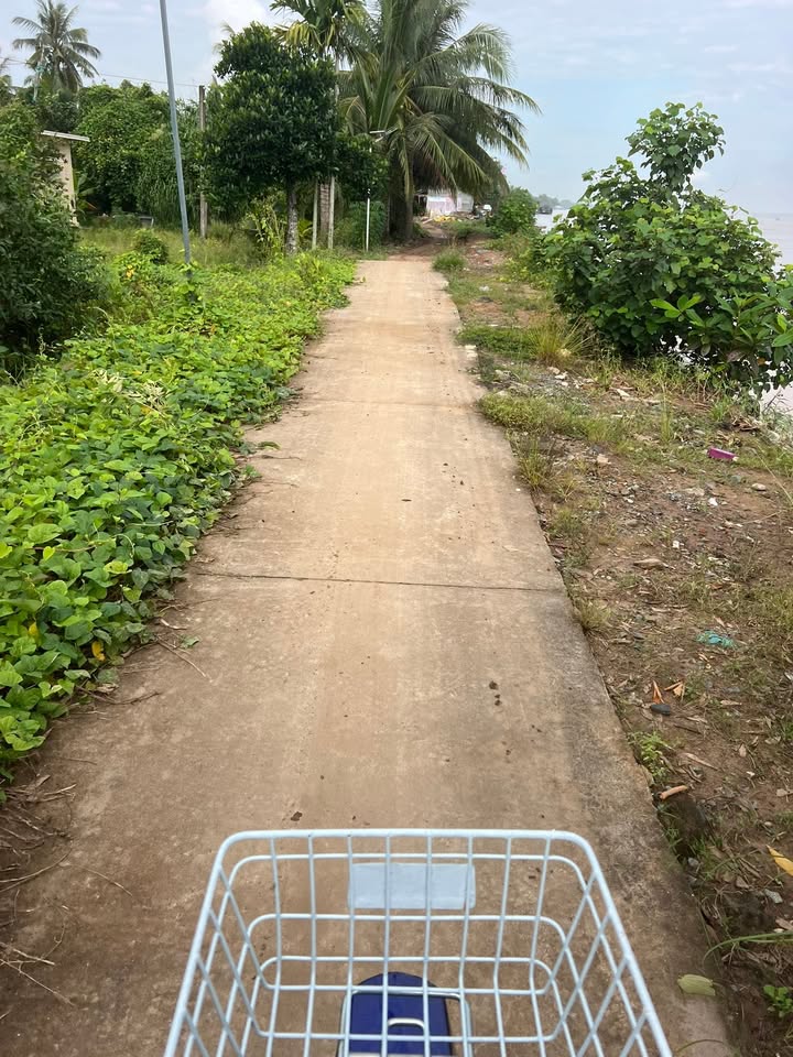 Đất mặt tiền Sông Cửa Đại 3,6 công chỉ 2,2 tỷ - Tiềm năng phát triển lớn!