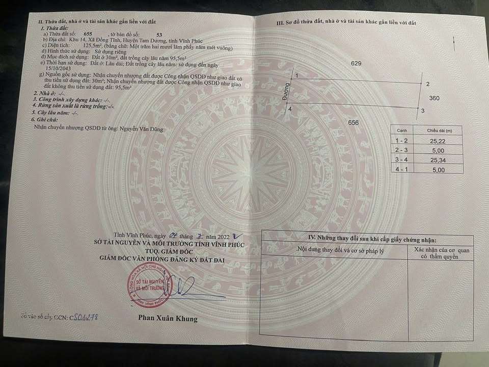 Đất nền Đồng Tĩnh - Tam Dương 125m² giá 500 triệu - Cơ hội đầu tư tuyệt vời!