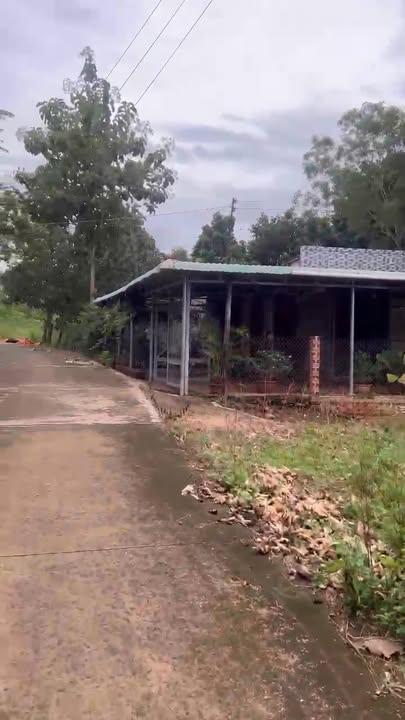 Đất Lộc Thái, Lộc Ninh 740m² giá chỉ 300 triệu - Mặt tiền 42m đường bê tông!