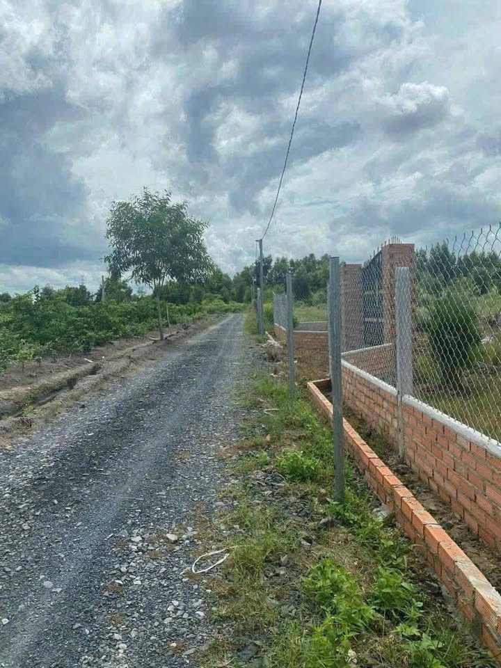 Đất làm nhà vườn 1008m² tại ấp 3 Thạnh Lợi, Bến Lức - Giá thương lượng 1.5 tỷ!