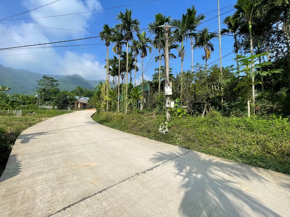 Đất nền lô góc Tân Hoà, Phú Thọ 330m² giá 1 tỷ - Sổ đỏ chính chủ, phân lô đẹp!