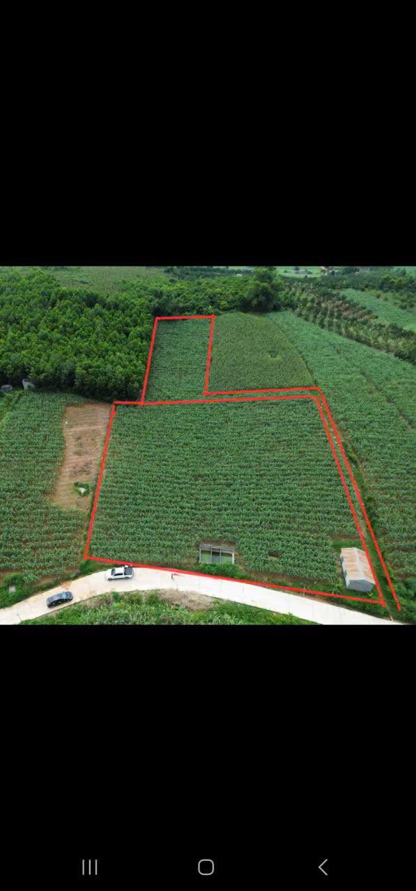 Đất nông nghiệp 5000m² xã Dũng Phong, huyện Cao Phong - Giao dịch nhanh chóng, sổ đỏ chính chủ!