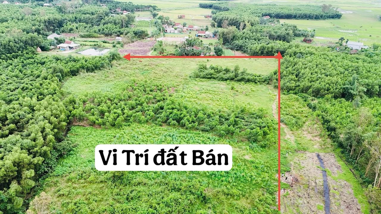Đất nền Mộ Đức Quảng Ngãi 1500m² - Giá sốc chỉ 4xx triệu!